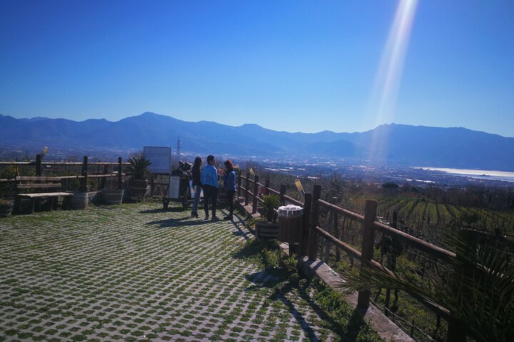 Shore excursion Vesuvius and Pompeii site. - Image 3