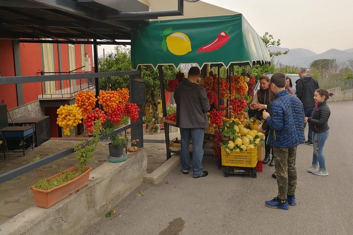 Shore excursion with Wine & Food tasting at Cantina del Vesuvio winery - Image 5