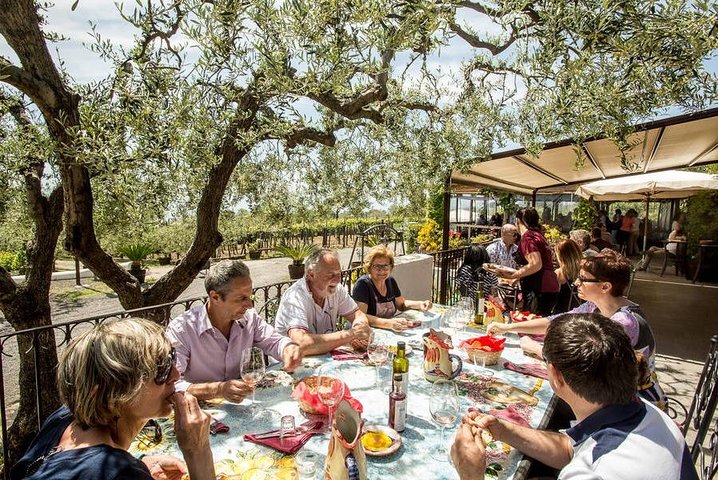 Shore excursion with Wine & Food tasting at Cantina del Vesuvio winery - Image 1