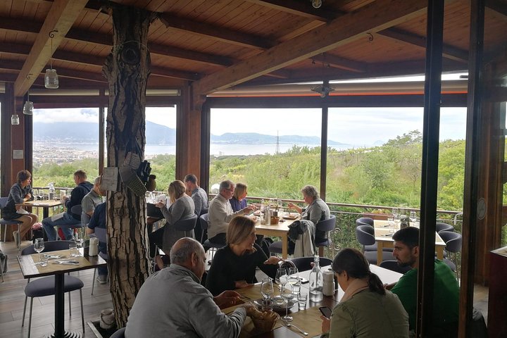 Shore excursion with Wine & Food tasting at Cantina del Vesuvio winery - Image 4