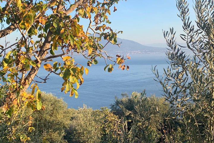 Sorrento and Pompeii tour by Minivan Mercedes - Image 2