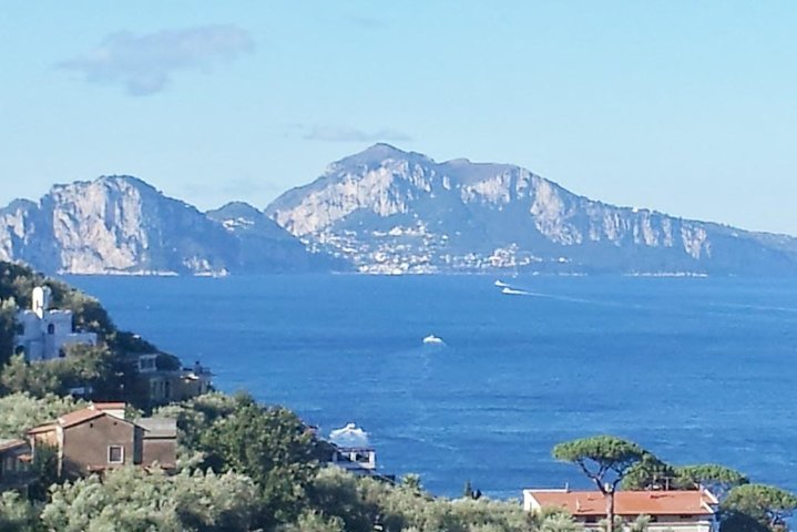 Sorrento Positano and Pompeii - Image 3
