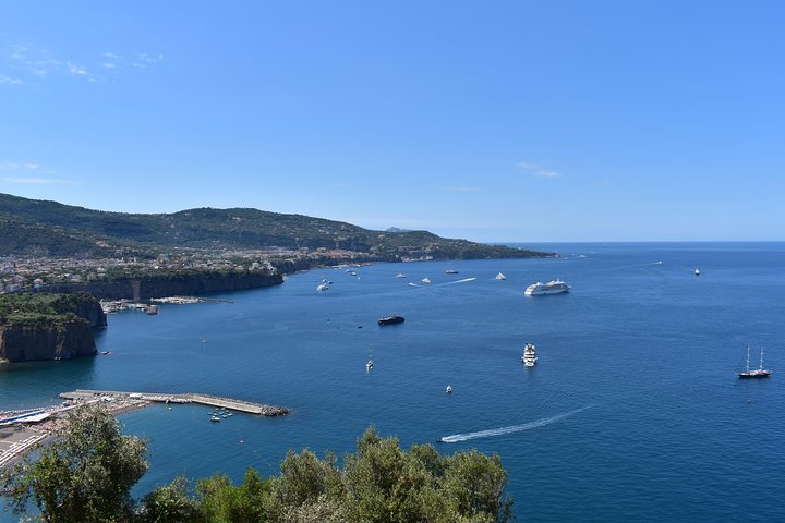 The Best of Campania in 1 day: Pompeii, Vesuvius & Sorrento Private Tour - Image 5