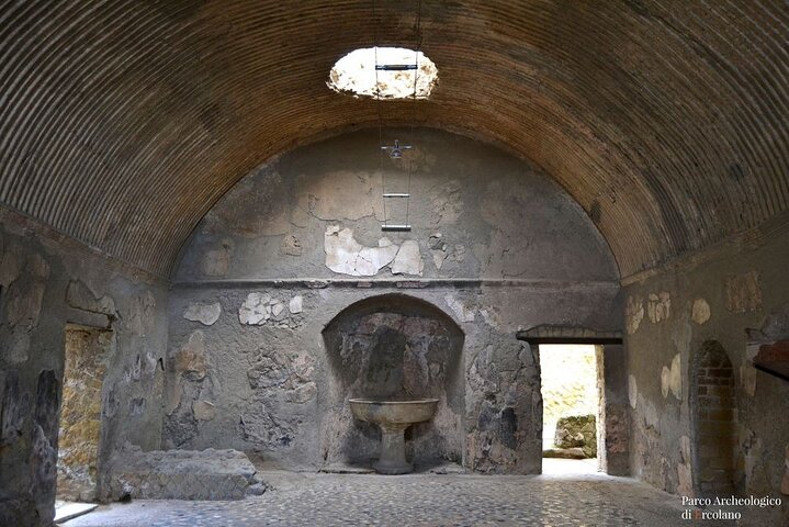 the splendour of Herculaneum ruins with guide - Image 4