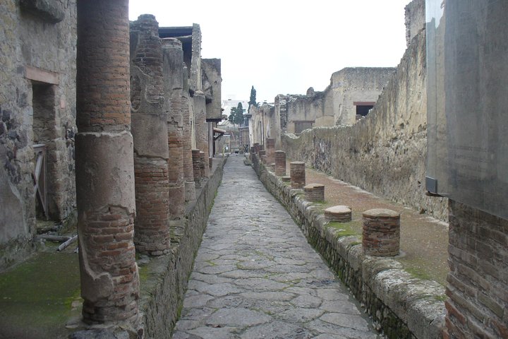 Tour of Hercolaneum+Pompeii+Sorrento (FullDay 8h) - Image 3