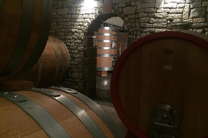Tour of IRPINIA WINE TASTING (Full Day) - Image 2