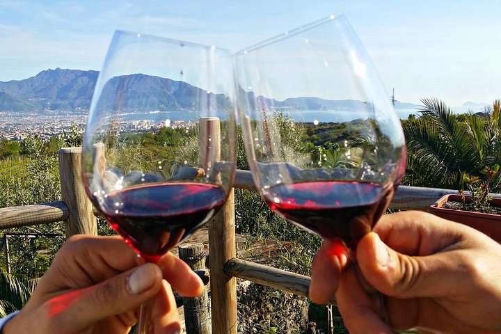 Tour of IRPINIA WINE TASTING (Full Day) - Image 1