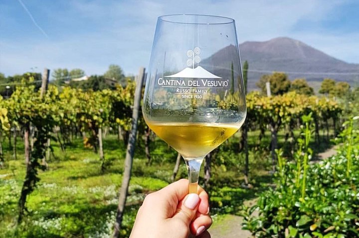 Tour of Pompeii with tour guide plus wine testing and lunch in a winery Vesuvius - Image 1