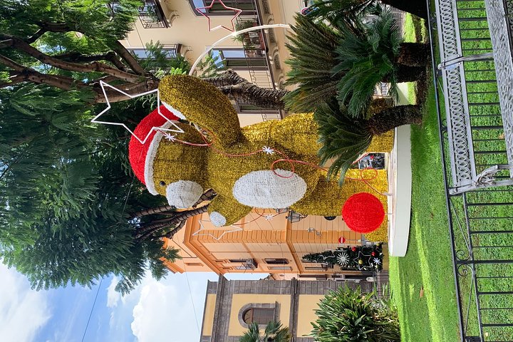 Tour of the City of Sorrento with beautiful Christmas decorations - Image 3