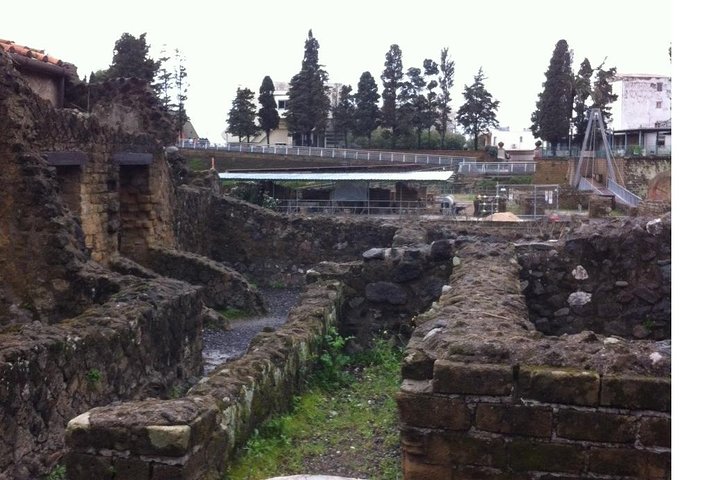 Transfer from Naples to Positano with a 2hr stop at Herculaneum (1-8PAX) - Image 1
