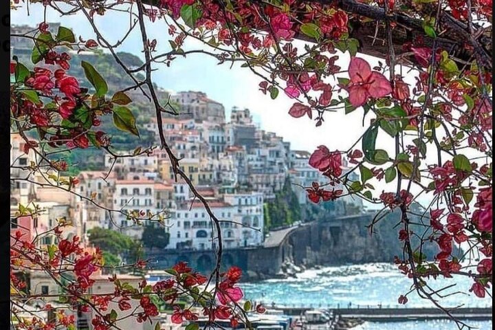 Transfer from Naples to Positano with a stop at Pompeii or Positano to Naples  - Image 4