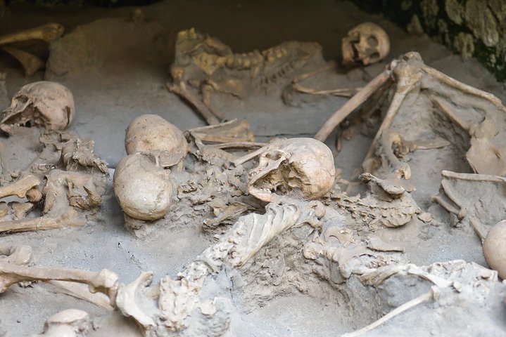 Transfer from Naples to Sorrento with 2 hours Private Tour in Herculaneum - Image 2