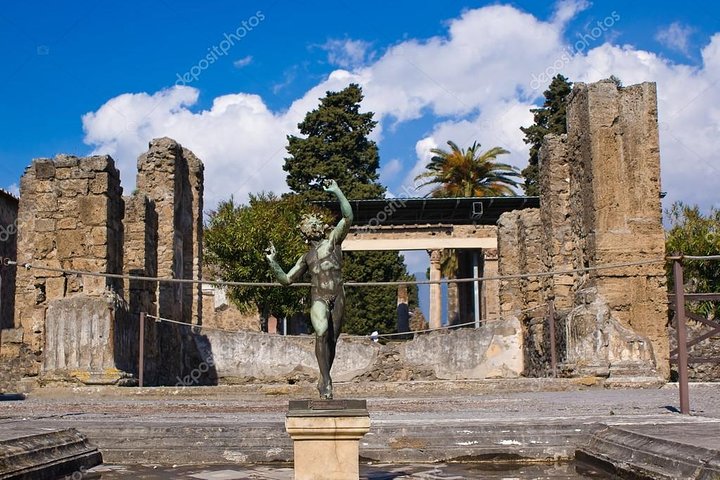 Transfer from Sorrento to Naples with stop at Pompeii 2hrs - Image 2