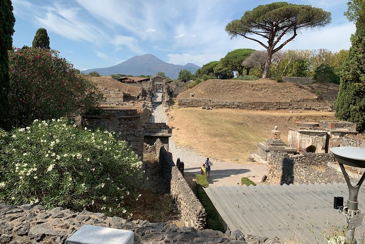 Transfer Naples to Sorrento and stop in Pompeii - Image 1