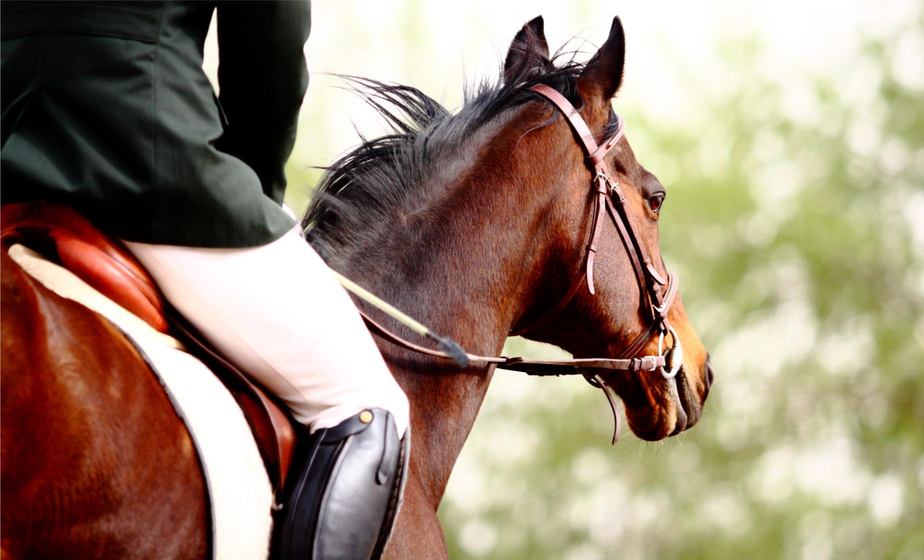 Vesuvius Horseback, Pompeii and Wine Tasting - Image 1