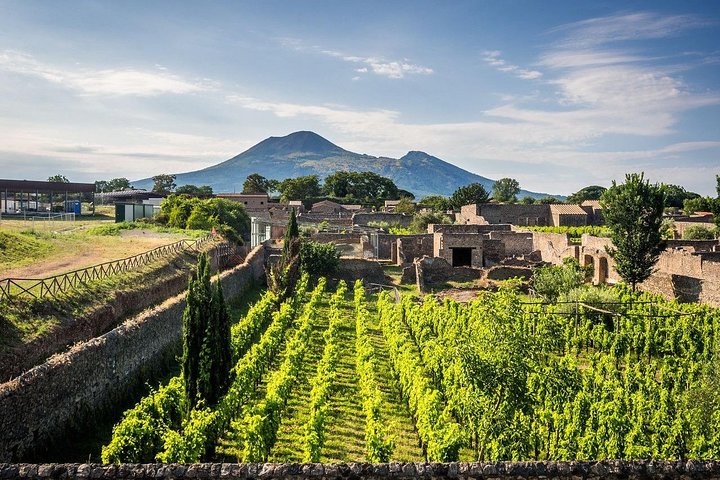 Vesuvius, Pompeii (private guide),vineyards and winery tour, lunch wine taste . - Image 1