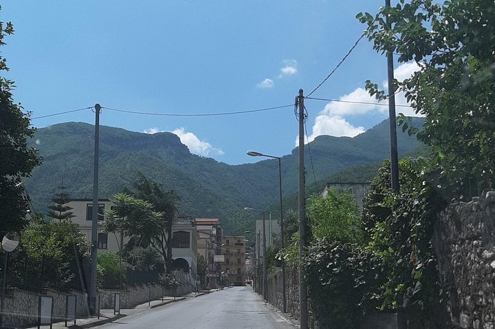 Vesuvius tour and Pompeii excavations including lunch and guide - Image 4