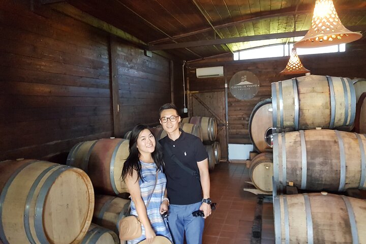 Wine tasting in the Vesuvius National Park - Image 1