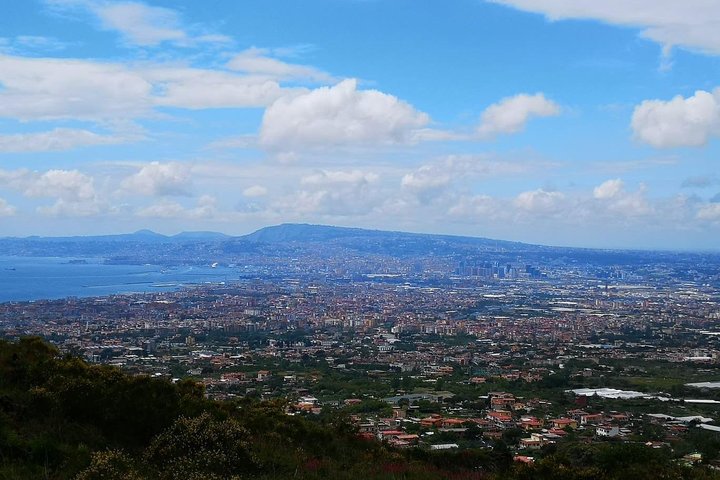 Wine tasting & Vesuvio vulcano - exclusive experience all inclusive - Image 3