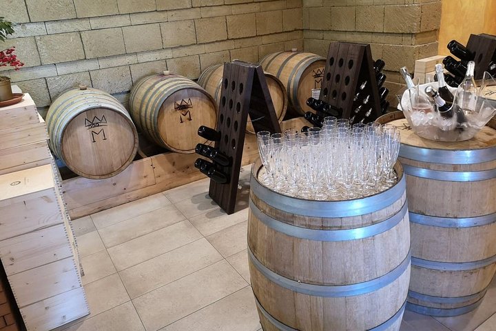 Wine tasting & Vesuvio vulcano - exclusive experience all inclusive - Image 5