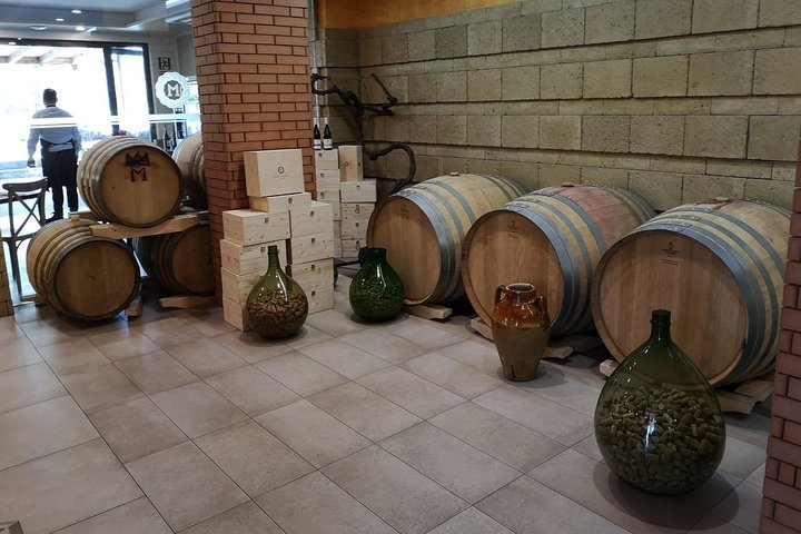 Wine tasting & Vesuvio vulcano - exclusive experience all inclusive - Image 4