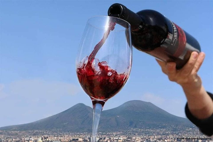 Wine tasting & Vesuvio vulcano - exclusive experience all inclusive - Image 1
