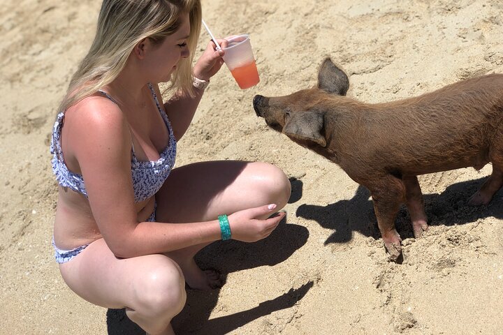 ATV Tour+Swimming Pigs+Snorkeling bundle (lunch+pickup/dropoff) - Image 5