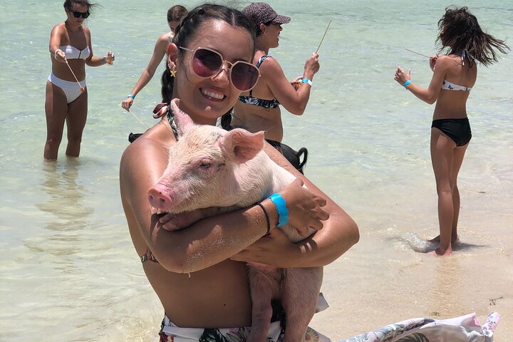 ATV Tour+Swimming Pigs+Snorkeling bundle (lunch+pickup/dropoff) - Image 4