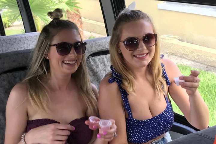 Bahamian Beverages & Bites Tour - Image 2