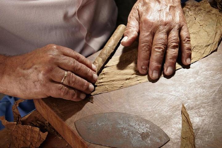 Cigar Rolling Lesson and Wine Blending Class - Image 2