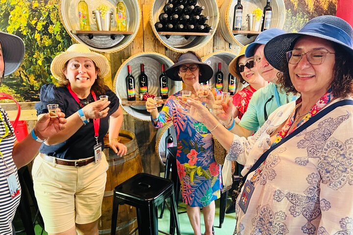 City Sight Seeing with Wine, Rum Cake and Conch Fritter Samples - Image 1