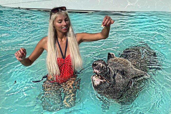 Full-Day Small-Group Tour to Pig Beach in the Bahamas by Powerboat - Image 4