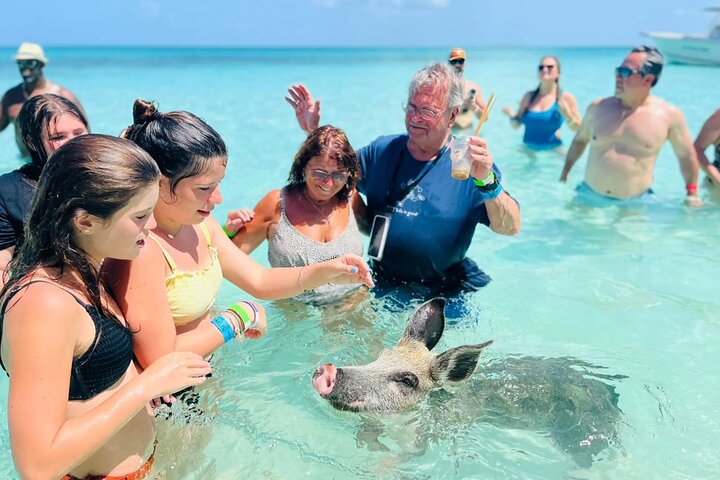 Full-Day Small-Group Tour to Pig Beach in the Bahamas by Powerboat - Image 1