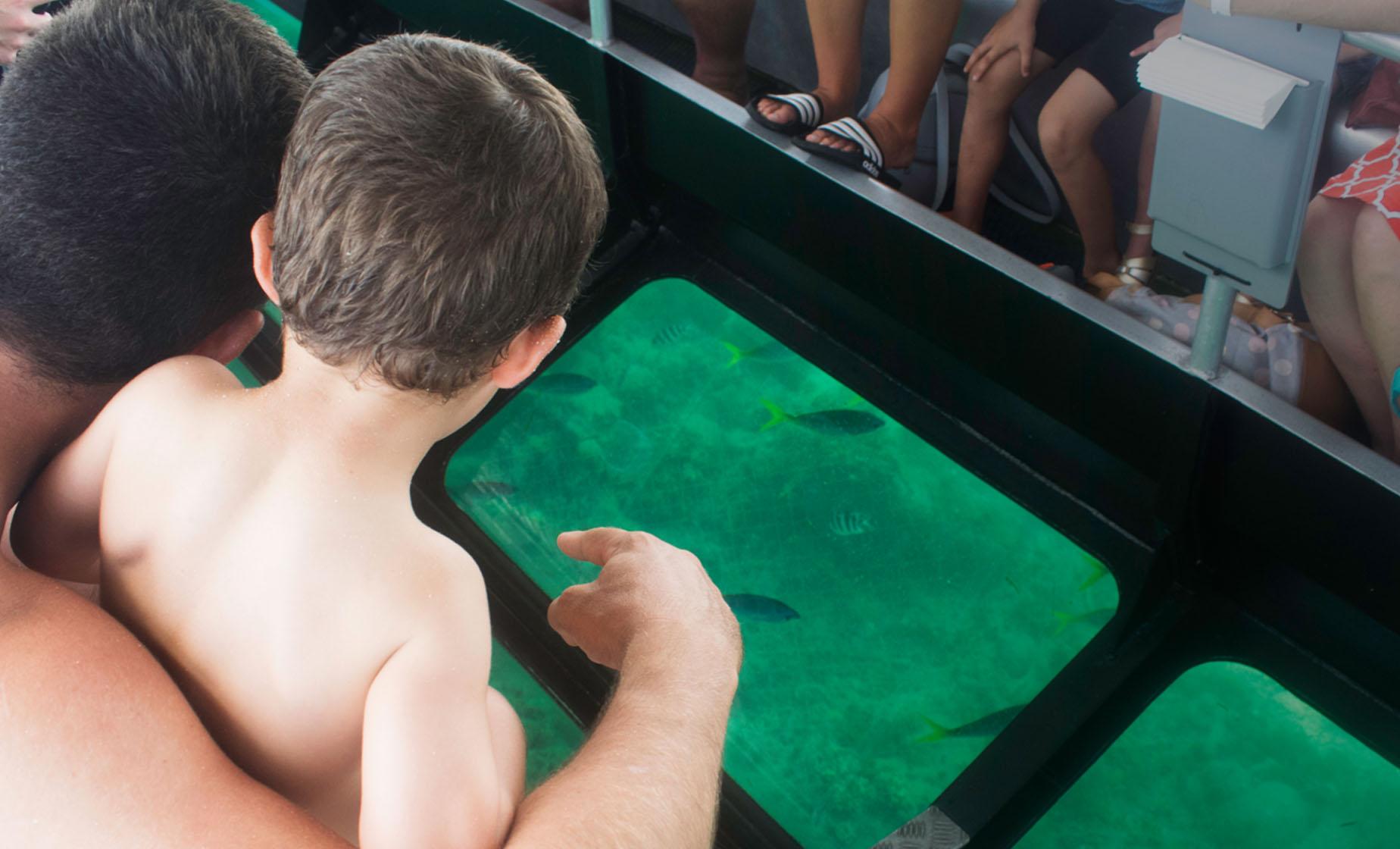 Glass Bottom Boat to the Sea Garden - Image 1