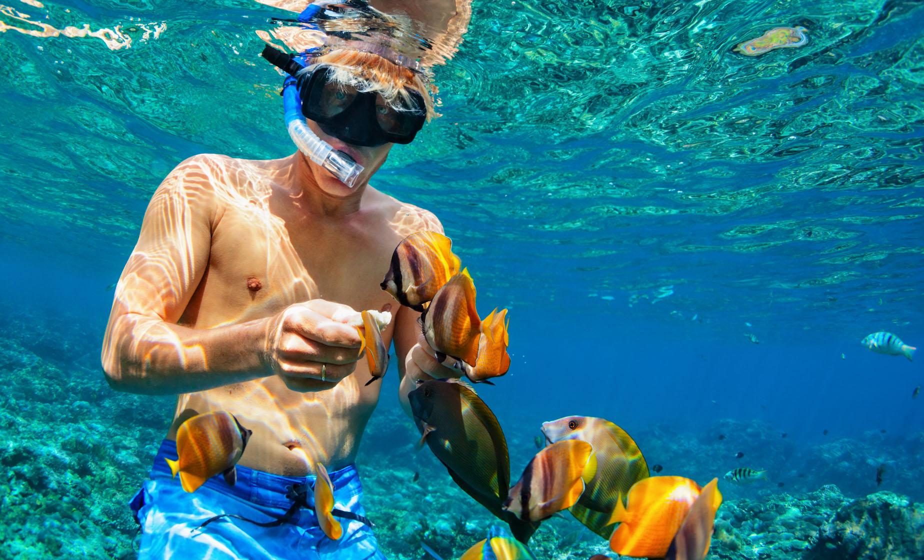 Half Day Snorkel Adventure - Image 1