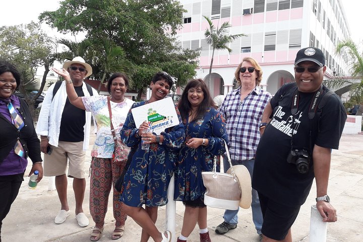 Highlights of Nassau Tour - Image 3