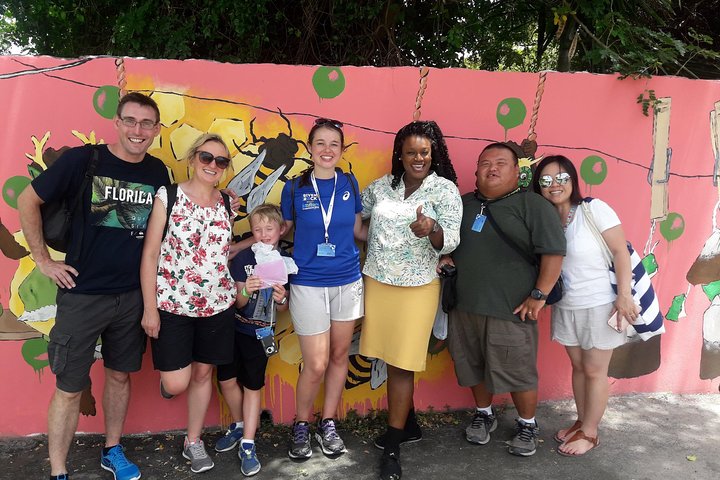 Highlights of Nassau Tour - Image 1