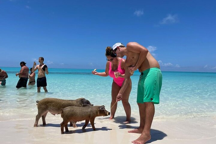 Island Adventure Guided Tour in Bahamas  - Image 5