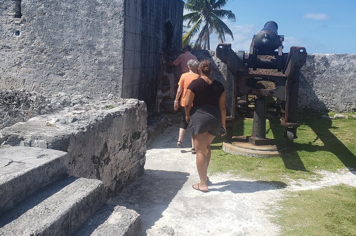Island City Tour  - Image 3