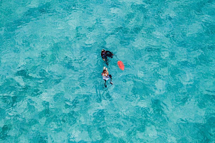 Land and Sea Sightseeing Tour from Nassau - Image 3