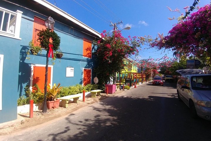 Nassau Shore Excursion: Sightseeing and Snorkeling Tour - Image 3