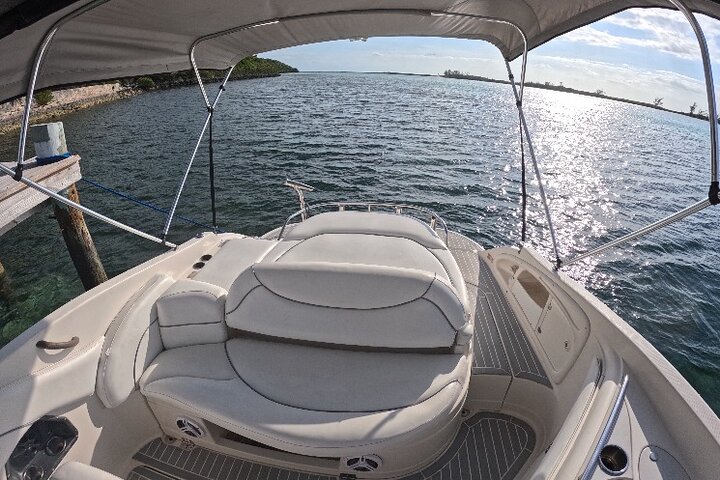 Private Luxury Rose Island,Pigs,Snorkeling,Turtles HalfDayCharter - Image 5
