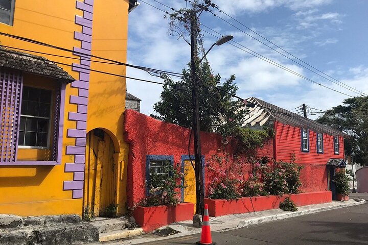 Private Pedicab Tour of Downtown Nassau Attractions - Image 3