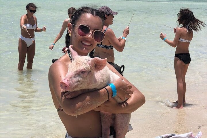 Swim with the Pigs and Explore Caves in Nassau - Image 4
