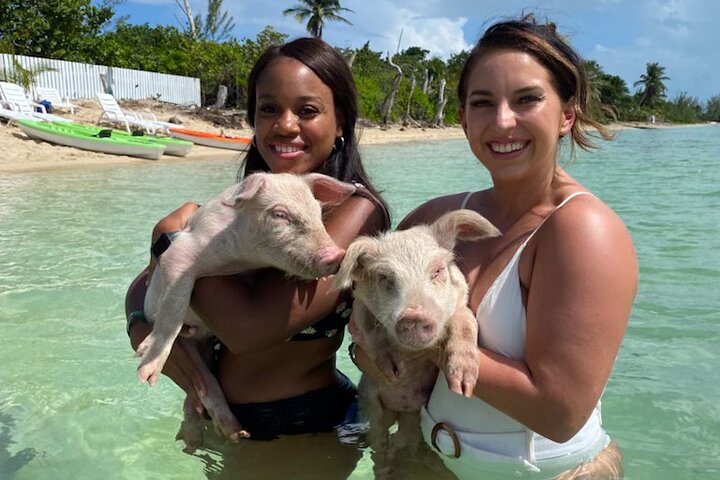 Swim with the Pigs and Explore Caves in Nassau - Image 1