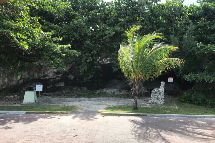 Swim with the Pigs and Explore Caves in Nassau - Image 5