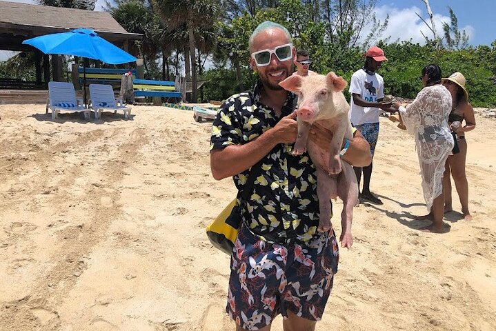 Swim with the Pigs and Explore Caves in Nassau - Image 3