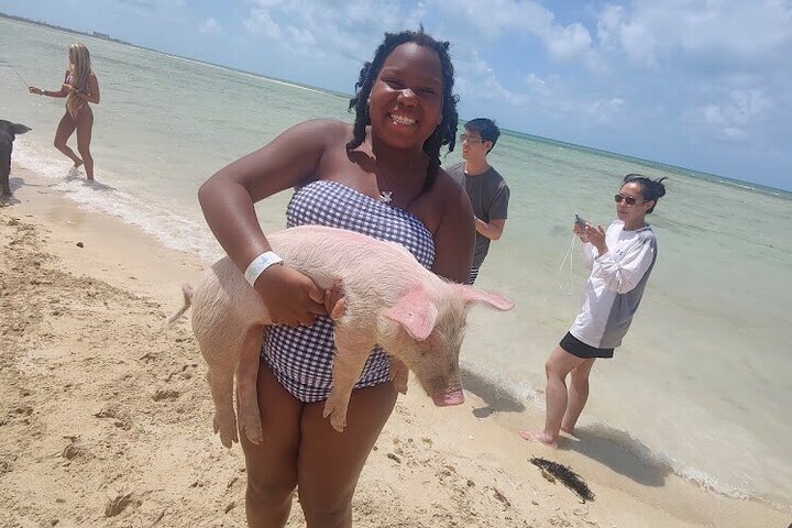 Swim with the Pigs and Explore Caves in Nassau - Image 2