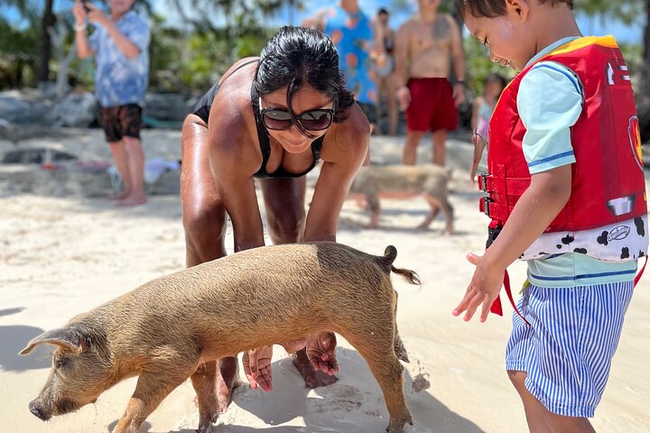 Swimming Pigs Tour on Rose Island - Image 3