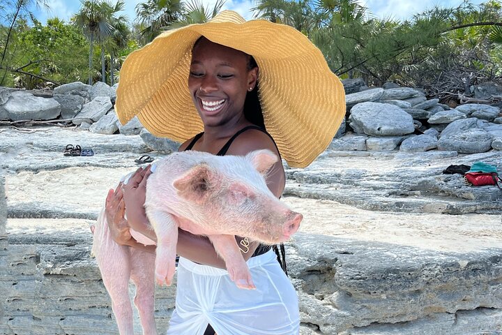 Swimming Pigs Tour on Rose Island - Image 5